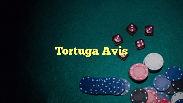 Tortuga Avis