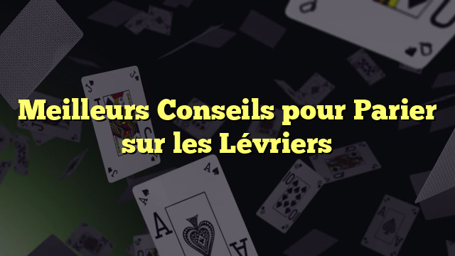 Meilleurs Conseils pour Parier sur les Lévriers